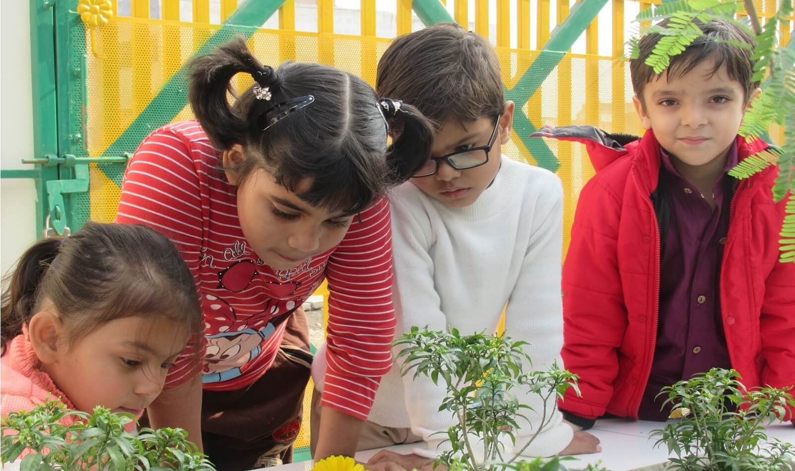 Maalinyai Preschool - Grow, Explore, Discover